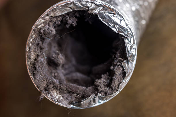 Best Air Duct Mold Removal  in Garrison, ND